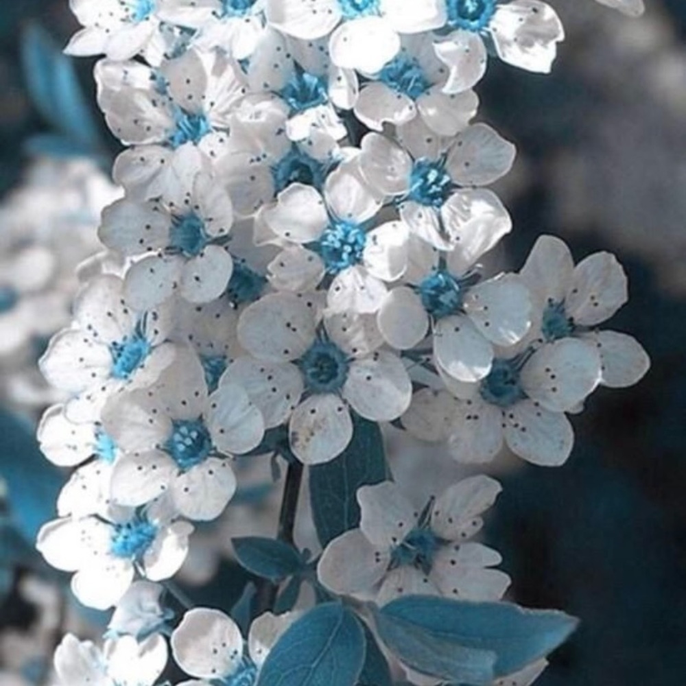 Meet your Posher, Kathleen